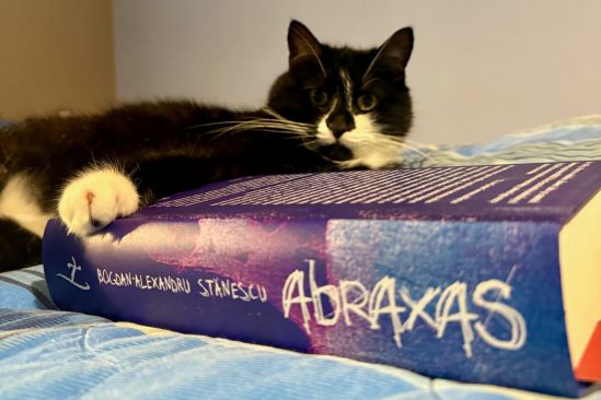 Abraxas,Bogdan-Alexandru Stănescu