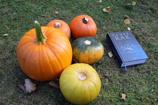 Agla. Aurora, Radek Rak