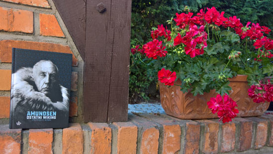 Amundsen. Ostatni wiking, Stephen R. Brown