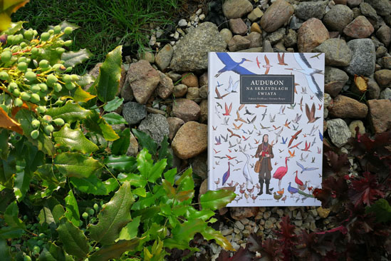 Audobon. Na skrzydłach świata -Jérémie Royer, Fabien Grolleau