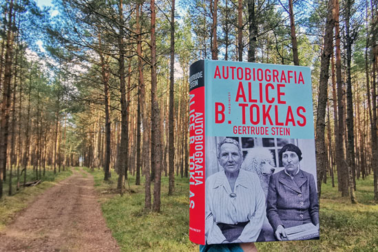 Autobiografia Alice B. Toklas, Gertrude Stein