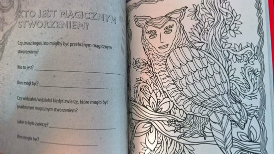 Baśniobór. Księga wyobraźni, Brandon Mull