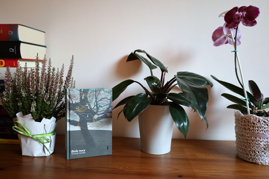 Białe noce, Urszula Honek