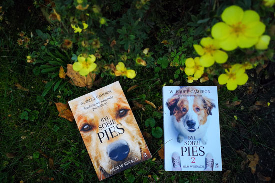 Był sobie pies, W. Bruce Cameron