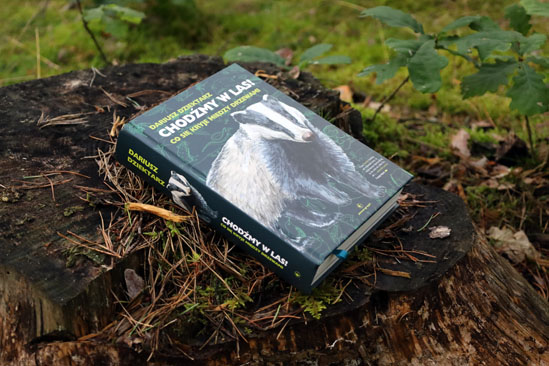 Chodźmy w las, Dariusz Dziektarz