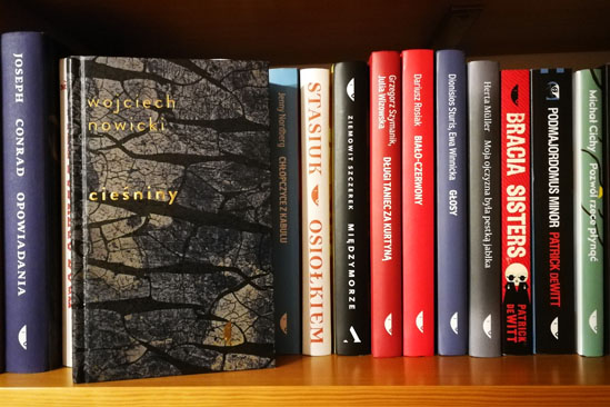 Cieśniny, Wojciech Nowicki