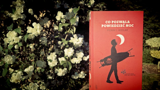 Co pozwala powiedzieć noc, Pierre J. Mejlak