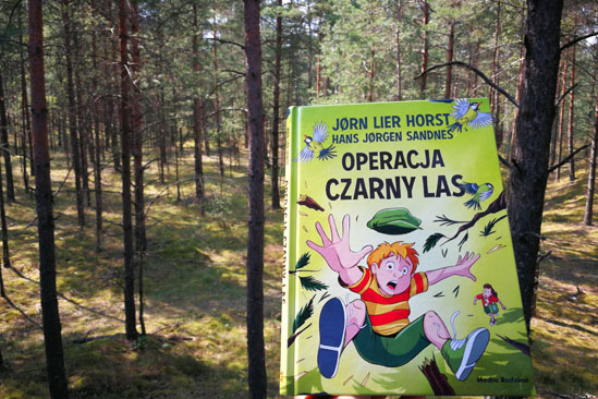 Operacja Czarny Las, Jørn Lier Horst,  Hans Jørgen Sandnes