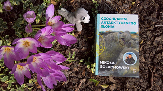 Czochrałem antarktycznego słonia, Michał Golachowski