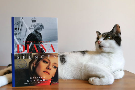 Diana, Andrew Morton