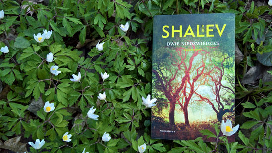 Dwie niedźwiedzice, Meir Shalev