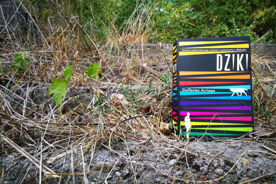 Dziki, Guillermo Arriaga
