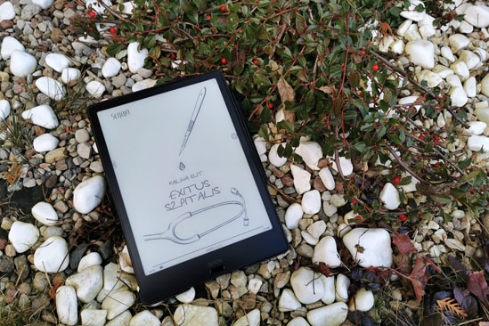 Exitus szpitalis, Kalina Rut