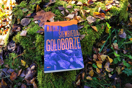 Gołoborze, Maciej Siembieda