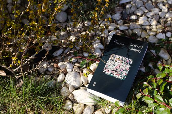 Grzeszni chłopcy, Pai Hsien-yung