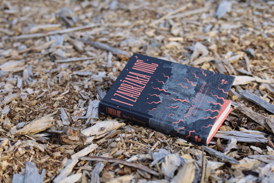 I zadrżała noc, Nadia Terranova