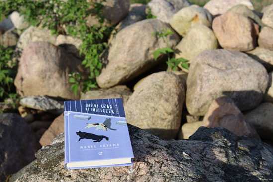 Idealny czas na smuteczek, Nanae Aoyama,