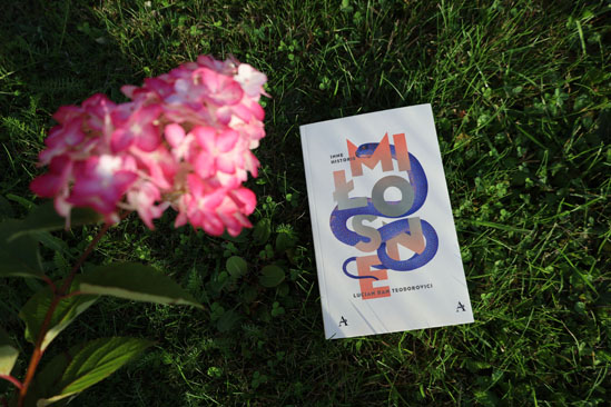 Inne historie miłosne, Lucian Dan Teodorovici