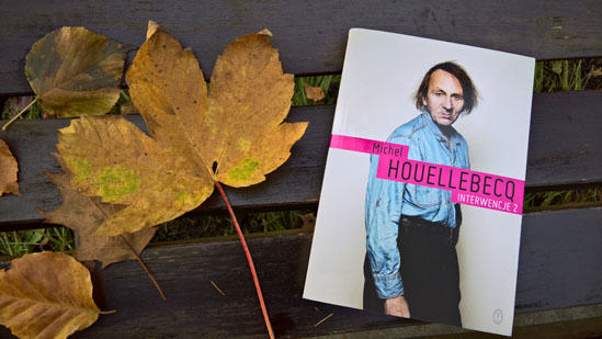 "Interwencje 2", Michel Houellebecq