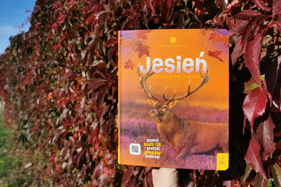 Młodzi Przyrodnicy. Jesień, Patrycja Zarawska