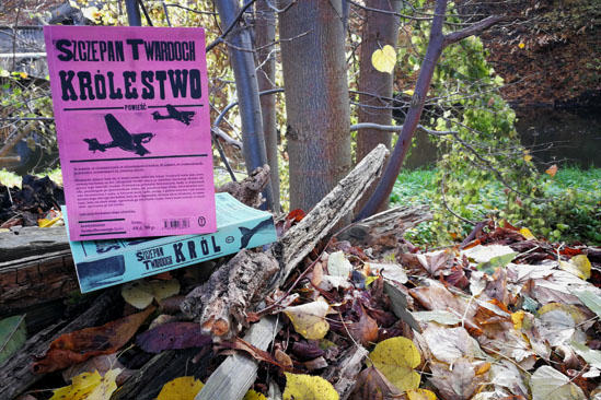 Królestwo, Szczepan Twardoch