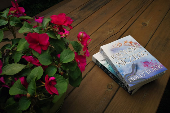 Królowa niczego, Holly Black