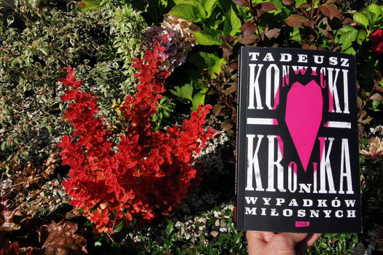 Kronika wypadków miłosnych, Tadeusz Konwicki