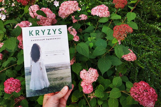 Kryzys, Radosław Dąbrowski