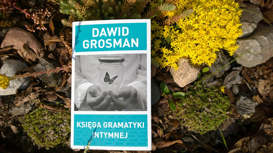 Księga gramatyki intymnej, Dawid Grosman