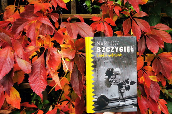 Laska nebeska, Mariusz Szczygieł