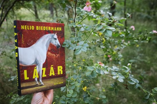 Lazar, Nelio Biedermann