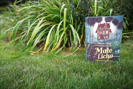 Małe Licho i tajemnica Niebożątka, Marta Kisiel