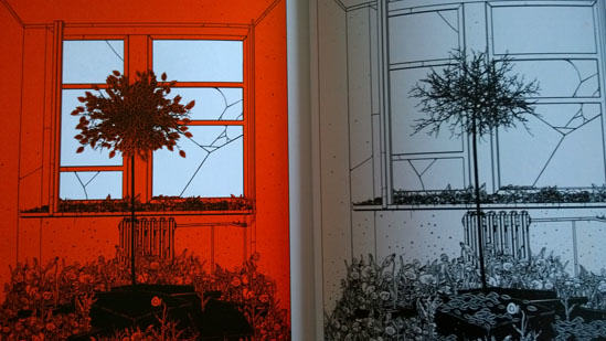 Martwy sezon, Jakub Woynarowski