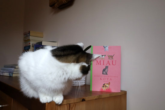 Miau, Laura A. Vocelle