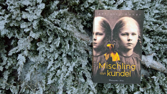 Mischling, czyli kundel, Affinity Konar