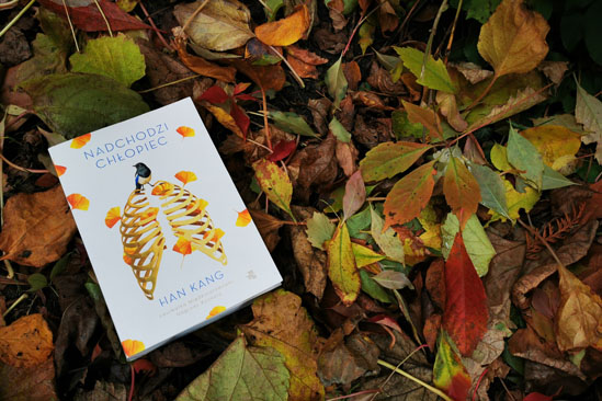 Nadchodzi chłopiec, Han Kang