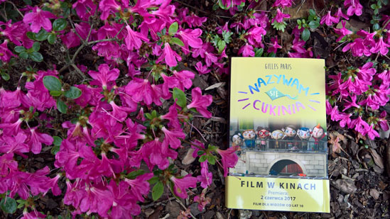 Nazywam się Cukinia, Gilles Paris