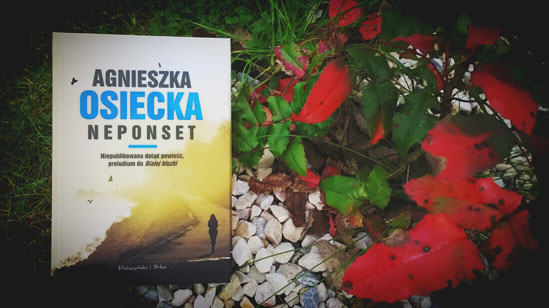 Neponset, Agnieszka Osiecka