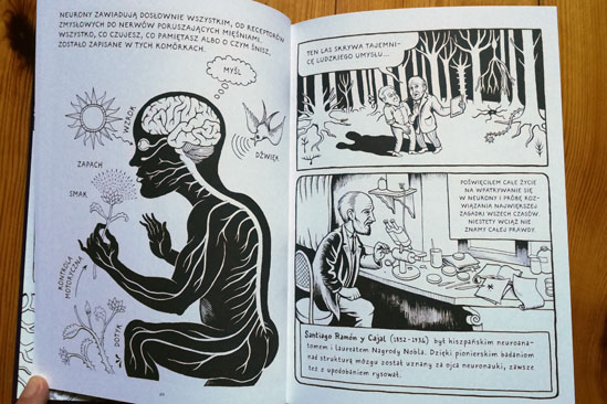 Neurokomiks, Hana Roš, Matteo Farinella