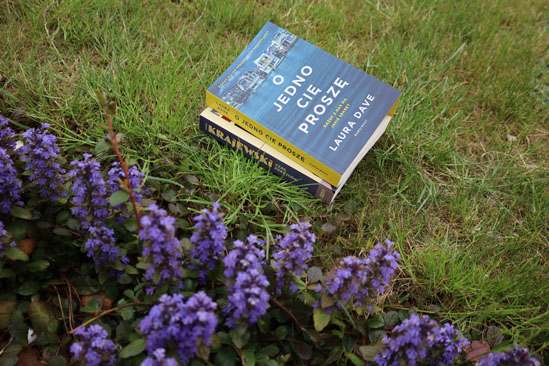 O jedno cię proszę, Laura Dave