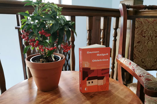 Obietnica, Damon Galgut