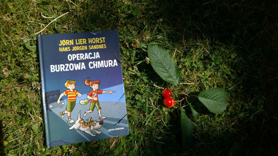 Operacja burzowa chmura, Jørn Lier Horst