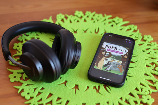 POPR-ańcy. Polowanie na wandali, Anna Sakowicz