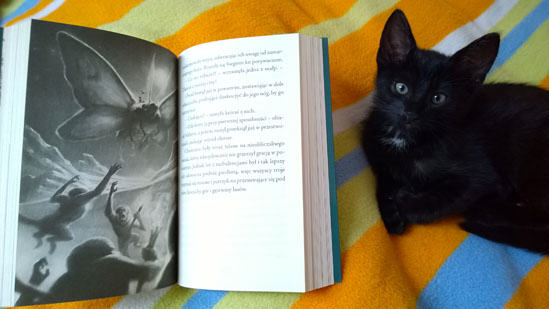 Chowańce, Pałac snów, Adam Jay Epstein, Andrew Jacobson