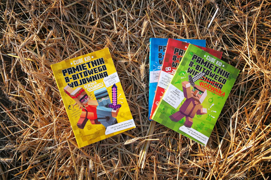 Pamiętnik 8-bitowego wojownika, Cube Kid