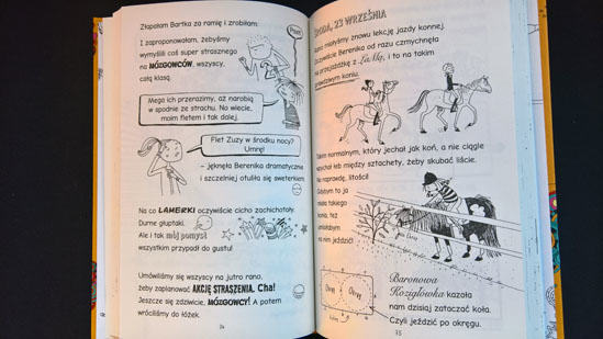 Pamiętnik Zuzy-Łobuzy. Wycieczka nad Bałtyk, Alice  Pantermüller