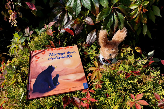 Pewnego dnia, niedźwiadku, Stephanie Stansbie, Frances Ives