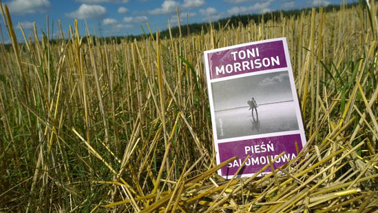 Pieśń Salomonowa, Toni Morrison,