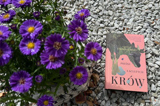 Pieśni łaciatych krów, Łukasz Stawiszyński