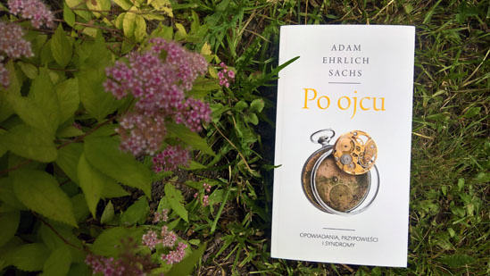 Po ojcu, Adam Ehrlich Sachs